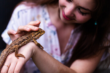 Woman interacting with pet bearded dragon lizard