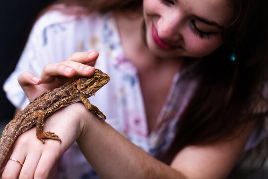 Woman interacting with pet bearded dragon lizard