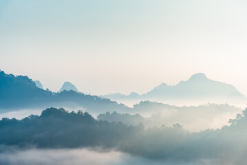 Mountains and forest in fog, mountain range with morning sky landscape background.