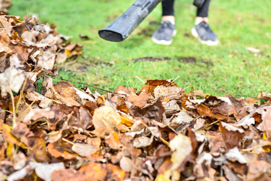 Young woman with her electric blower making piles of dead leaves to clean up the garden