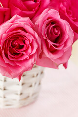 pink roses in the basket