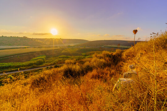 Sunrise view of countryside in the Shephelah region
