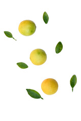 closeup the bunch ripe yellow green lemon fruit with green leaves and mint leaves on the white background.