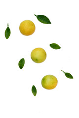 closeup the bunch ripe yellow green lemon fruit with green leaves and mint leaves on the white background.