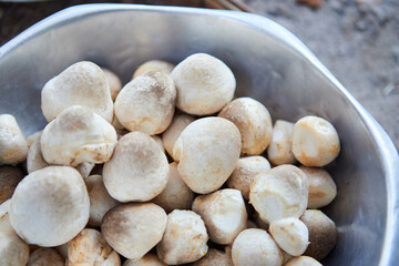 Preparing fresh straw mushrooms for cooking in a bowl