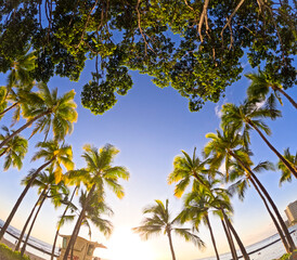ハワイ　ワイキキビーチの夕日