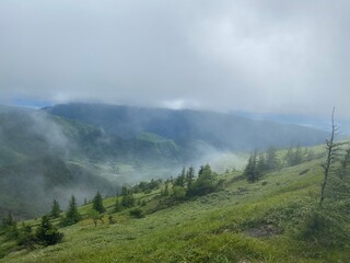 霧の美ヶ原