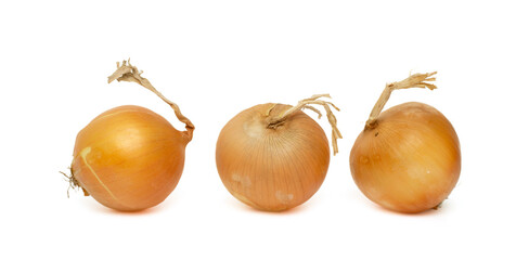 Head of onion on a white background.