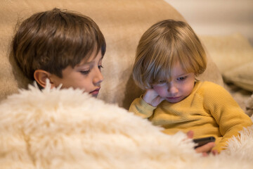 Brothers Watching Videos On Smartphone At Home. Youth Technology Concept