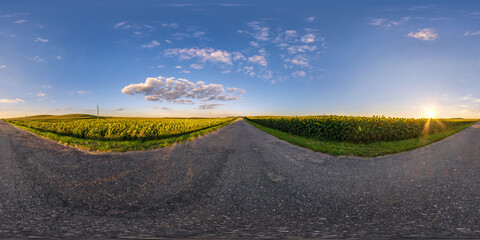 360 hdri panorama on no traffic old asphalt road among fields of sunflowers at sunset in...