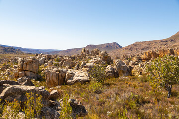 Beautiful rocky landscape in the Cederberg on a sunny day, blue sky, green shrubs, Western Cape, South Africa
