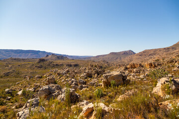 Beautiful rocky landscape in the Cederberg on a sunny day, blue sky, green shrubs, Western Cape, South Africa