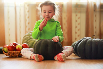 Fototapeta premium Little child choose a pumpkin at autumn. Child sitting on giant pumpkin. Pumpkin is traditional vegetable used on American holidays - Halloween and Thanksgiving Day.