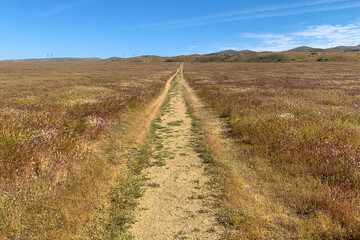 Fototapeta na wymiar Rural Road in Carrizo Plain National Monument, San Luis Obispo County