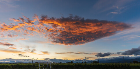 a summer sunset over the vineyards