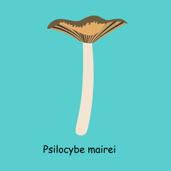 A flat vector of a poisonous toadstool mushroom isolated