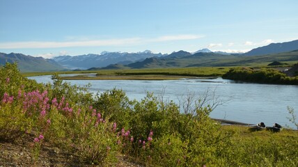 Paysage sauvage, Alaska