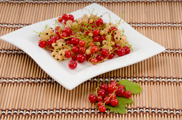 Fresh red and white currant berries on a plate - 559361240