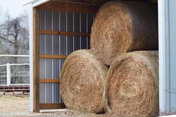 Hay stored in a building on a farm for agriculture, animal livestock feed, ranch or farm