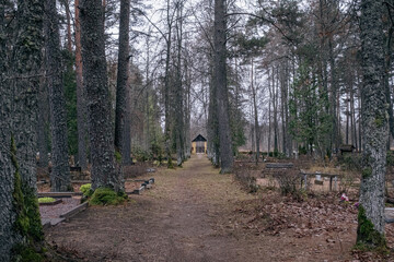 old cemetery in Latvia countryside