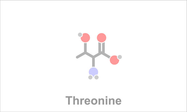 รูปภาพThreonin – เลือกดูภาพถ่ายสต็อก เวกเตอร์ และวิดีโอ2,811 | Adobe Stock