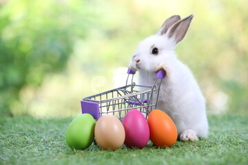 cute young rabbit with shopping trolley cart and easter eggs on a green grass