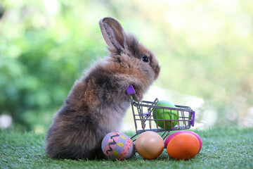 cute young rabbit pushing shopping trolley cart with easter eggs on a green grass