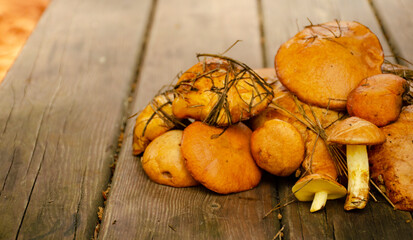 Fresh mushrooms on a wooden table. Heap of freshly picked mushrooms.