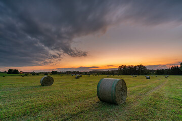 hay bales in the field