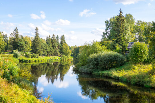 beautiful forest river with trees on the shore
