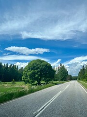 Empty road at the green landscape