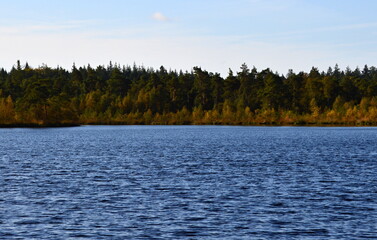 Landscape in Autumn at Lake Grundloser See, Walsrode, Lower Saxony