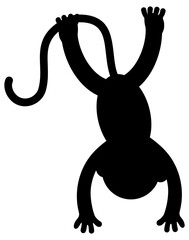 Cute monkey cartoon silhouette
