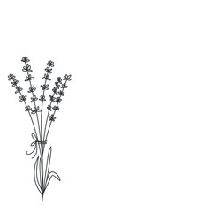 Monochrome bouquet of flowers lavenders
