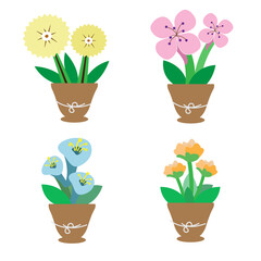 Cute striped flowers in pots