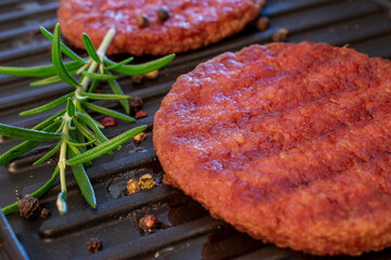 grilled meat on the grill