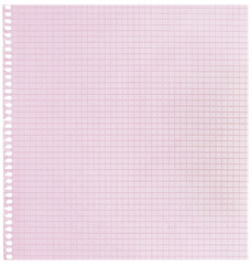 Checked spiral notebook page paper background, old aged pink chequered ring binder sheet flat lay A4 copy space, vertical squared pattern maths notepad, torn out isolated blank empty notepaper