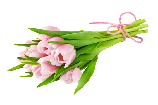 Blumenstrau&szlig; Tulpen mit schleife freigestellt  Hintergrund transparent