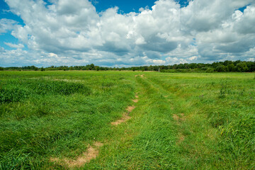 Fototapeta na wymiar Dirt road through a green meadow and clouds in the sky