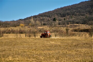 Fototapeta premium Tractor in the fields