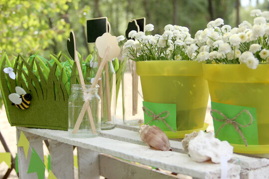 Luau Party Decor By The Sea