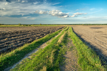 Fototapeta na wymiar A long rural road between plowed fields, Czulczyce, Poland
