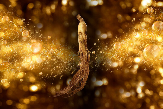 premium wild ginseng and water splashing