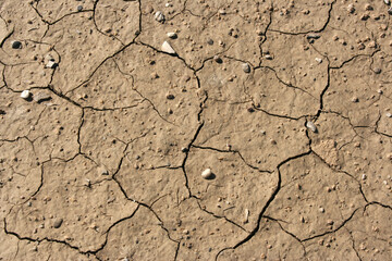 terre desséchée
