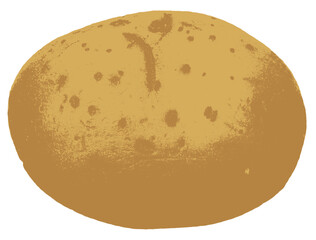 potato illustration transparent PNG
