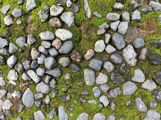 Stone path with irregular rough pebbles and bright green moss horizontal background pattern