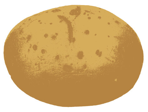 Potato Illustration Transparent PNG