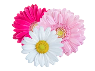 Foto op Plexiglas Blumen und Hintergrund transparent PNG cut out © PhotoSG