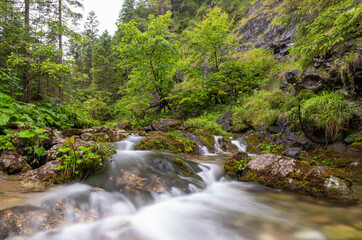 Stream in the mountains on a rainy day