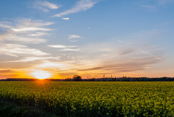 Champs et couché de soleil